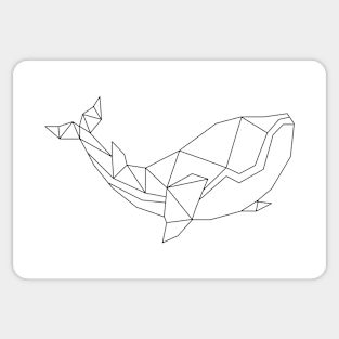 White orca Sticker